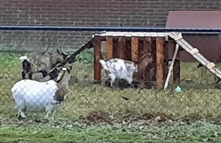 Natuurhuisje in Deurne