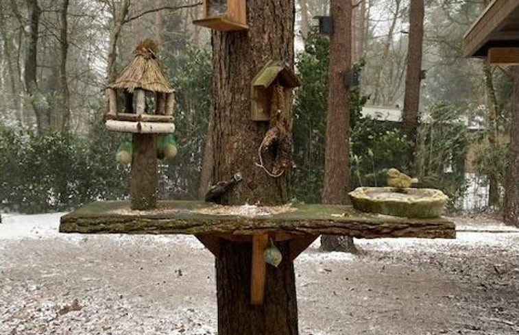 Natuurhuisje in Norg