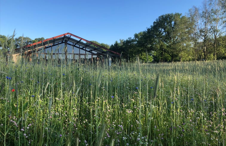 Natuurhuisje in Gilze