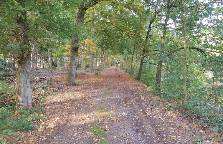 Natuurhuisje in Hellendoorn