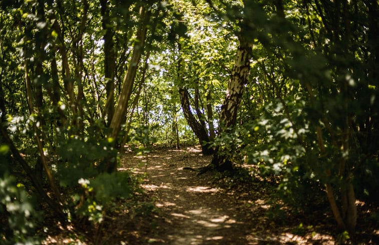 Natuurhuisje in Haarlo