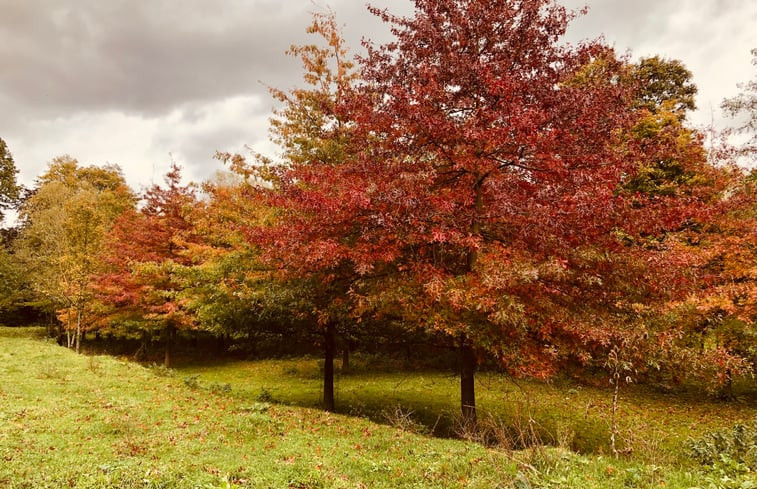 Natuurhuisje in Yves-Gomezée