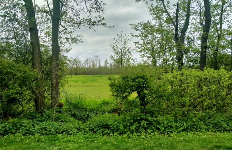 Natuurhuisje in Kollumerzwaag