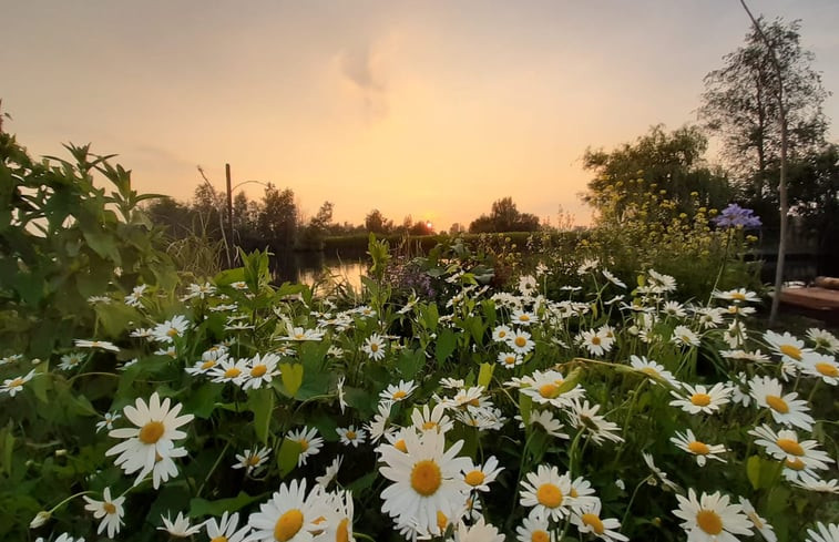 Natuurhuisje in Vinkeveen