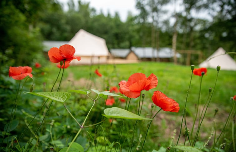 Natuurhuisje in Muntendam