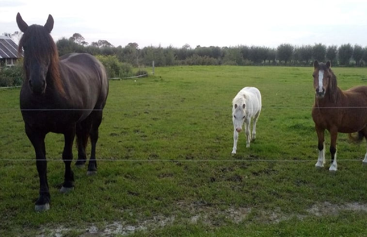 Natuurhuisje in Ritthem