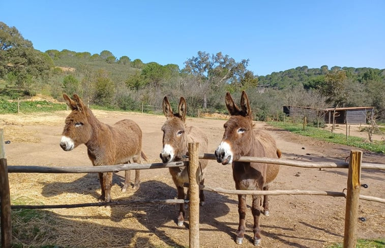 Natuurhuisje in Aljezur-Carrascalinho