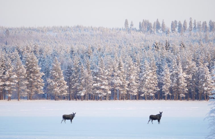 Natuurhuisje in Blattnicksele