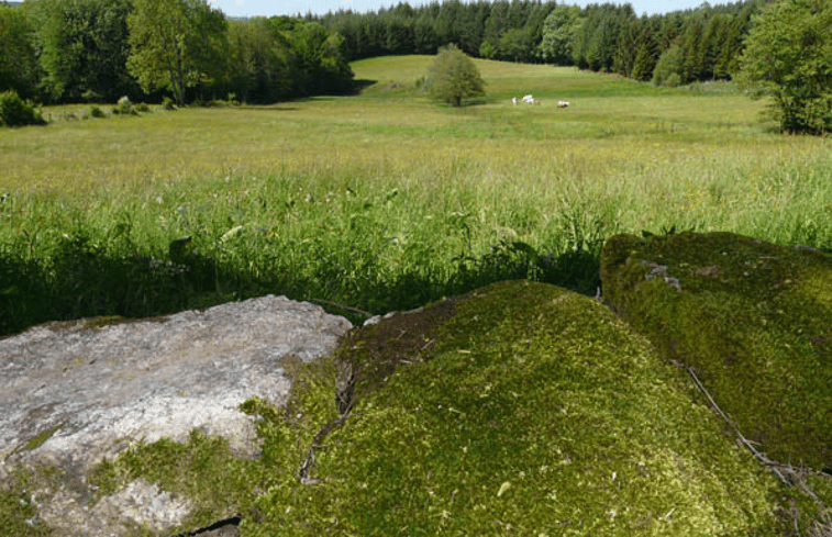 Natuurhuisje in La Chevalerie