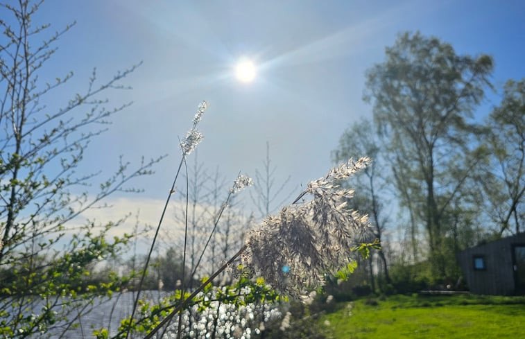 Natuurhuisje in Westergeest