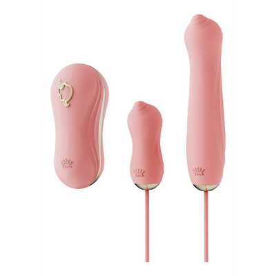 Zalo Sucking Vibrator with Pump and Different Attachments