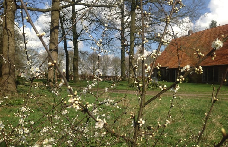 Natuurhuisje in Denekamp