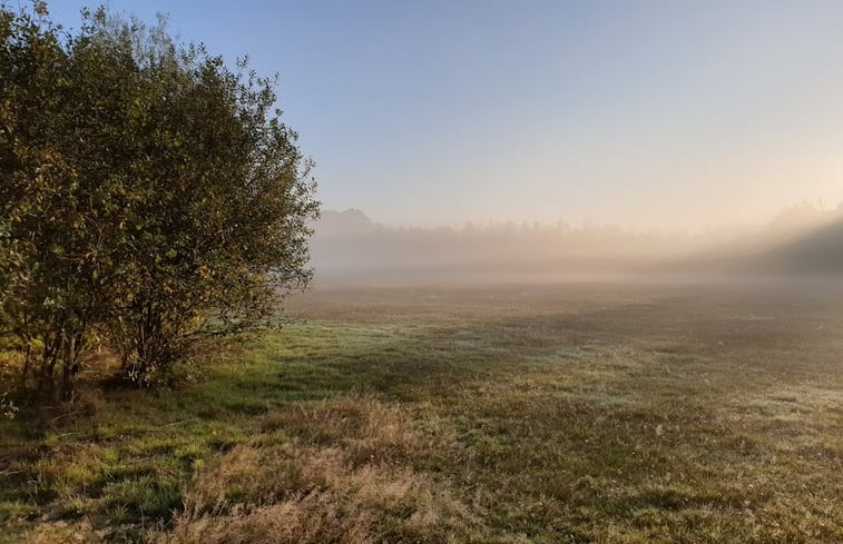 Natuurhuisje in Vorden