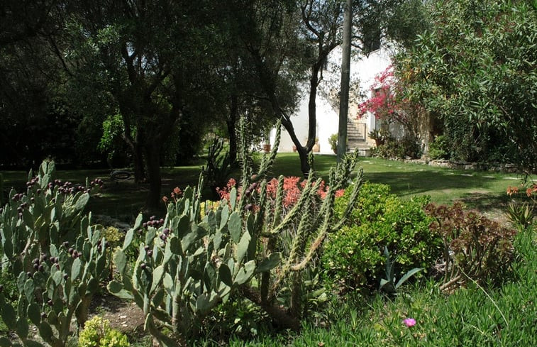 Natuurhuisje in Lecce