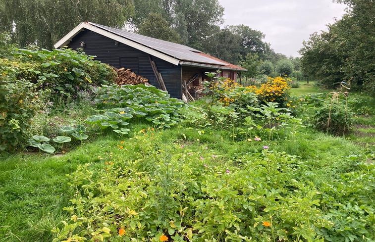 Natuurhuisje in Geesteren