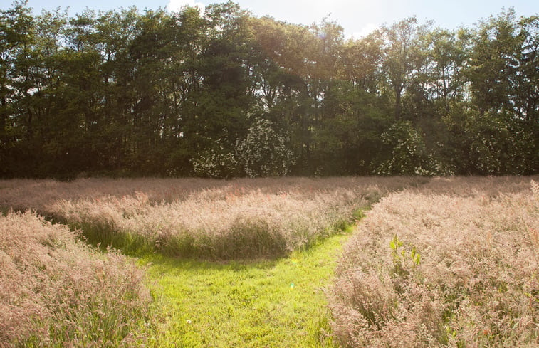 Natuurhuisje in Nietap