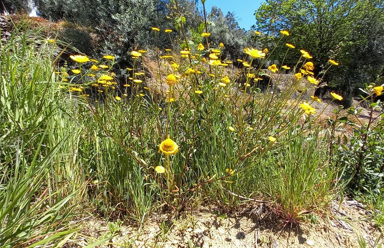 Natuurhuisje in Cabeceiras do Basto