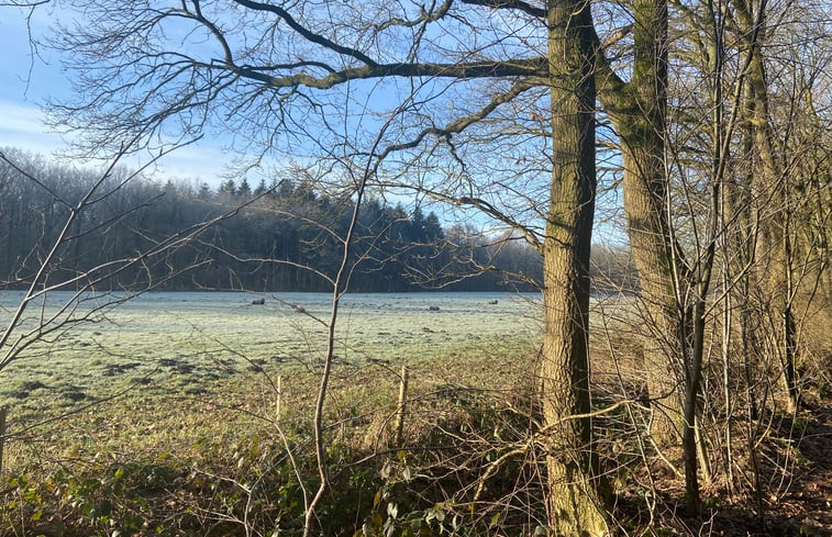 Natuurhuisje in Hollandscheveld