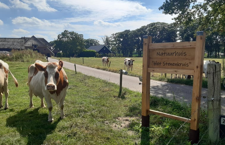 Natuurhuisje in Olst