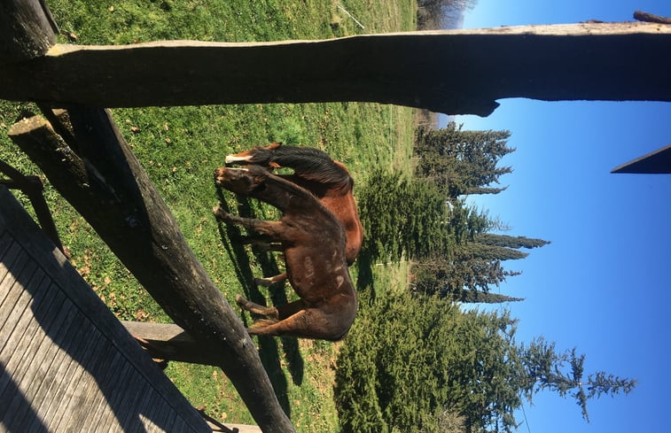 Natuurhuisje in Saissac