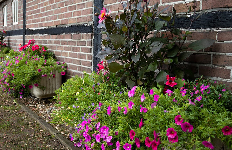 Natuurhuisje in Tubbergen