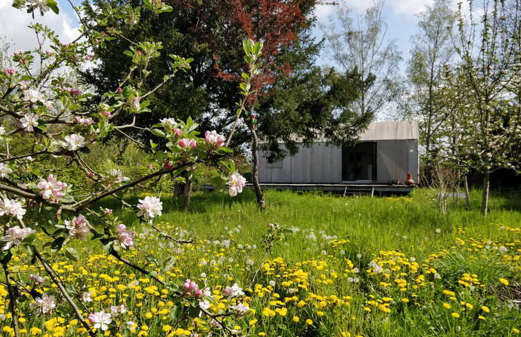 Natuurhuisje in Drongen