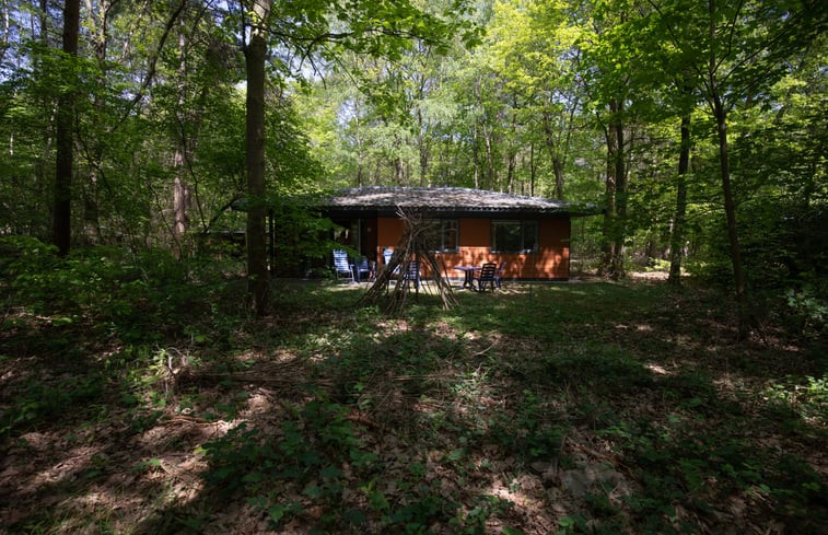 Natuurhuisje in Voorthuizen