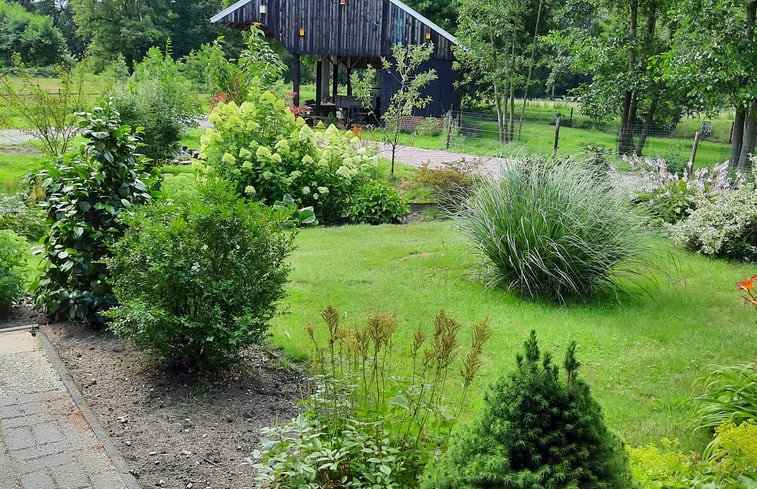 Natuurhuisje in de Lutte