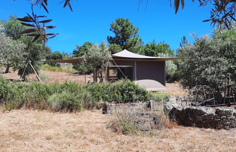 Natuurhuisje in Salqueiro do campo