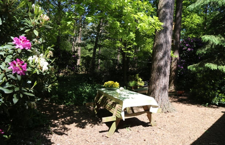 Natuurhuisje in Stegeren