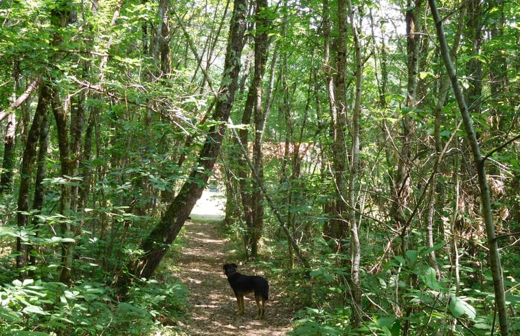 Natuurhuisje in Prayssac