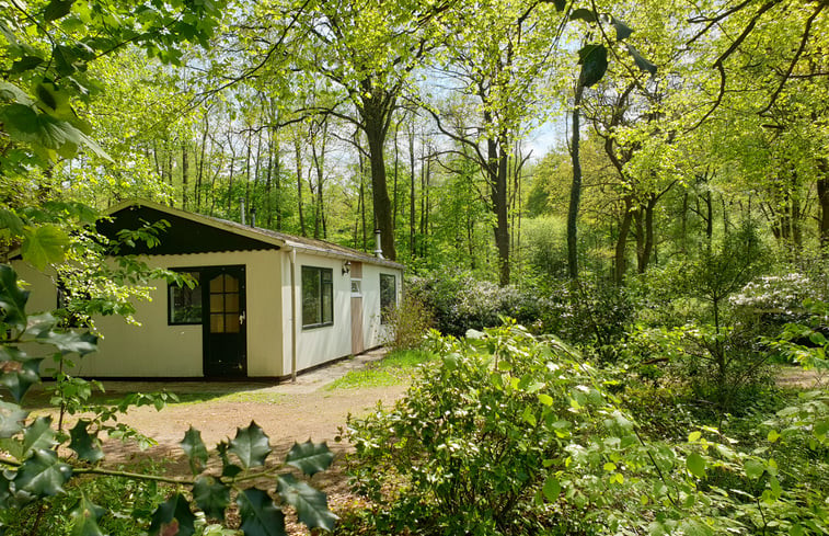 Natuurhuisje in Winterswijk Ratum