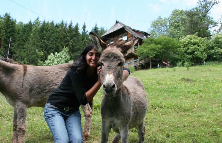 Natuurhuisje in Triberg