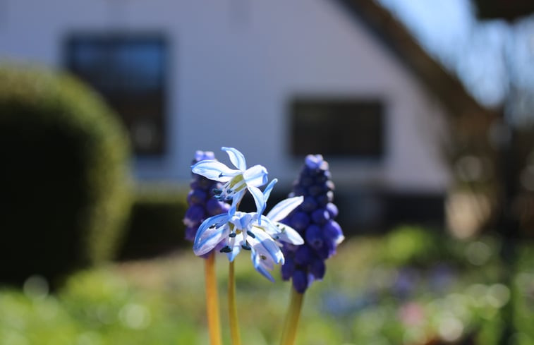 Natuurhuisje in Putten