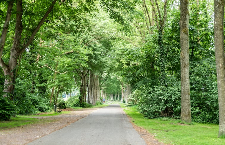 Natuurhuisje in Odoorn