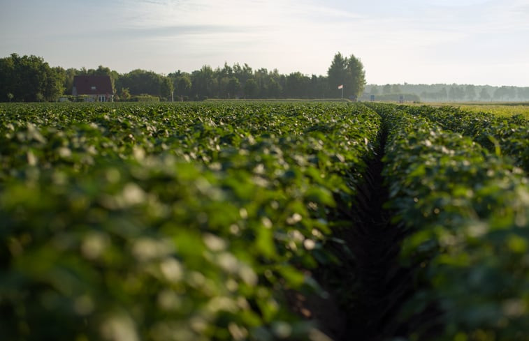 Natuurhuisje in Schoonloo