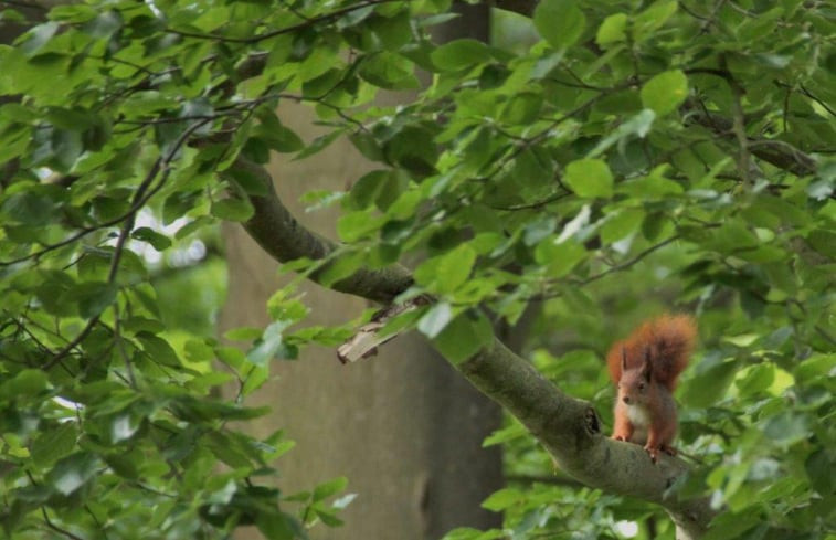 Natuurhuisje in Boekelo gemeente Enschede