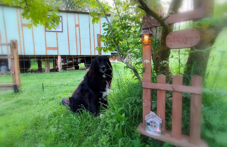 Natuurhuisje in Modry Kamen