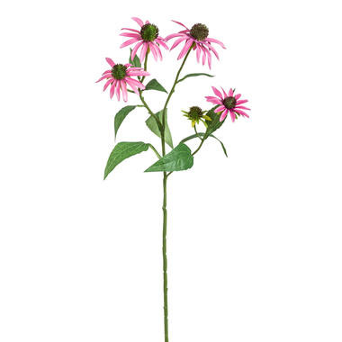 Kunstbloem Rudbeckia Spray - roze - 73 cm - Leen Bakker