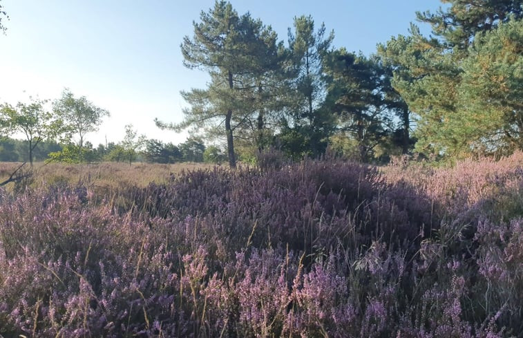 Natuurhuisje in Oostelbeers