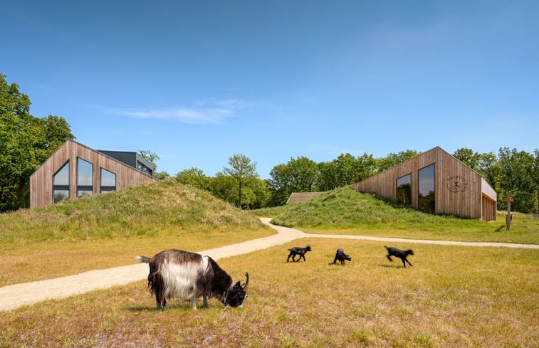 Natuurhuisje in Norg