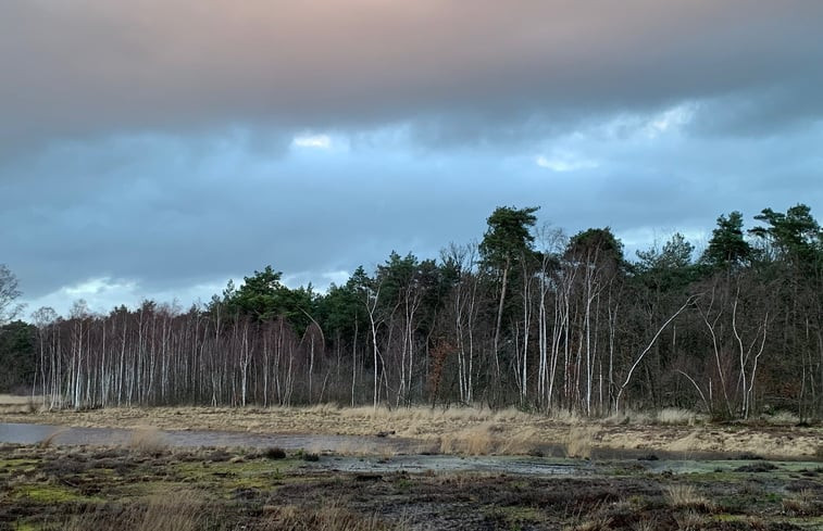 Natuurhuisje in Harfsen