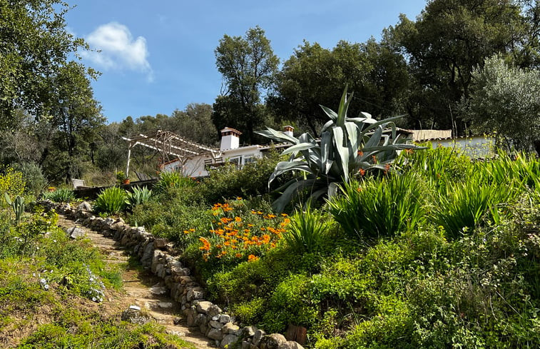 Natuurhuisje in Alferce