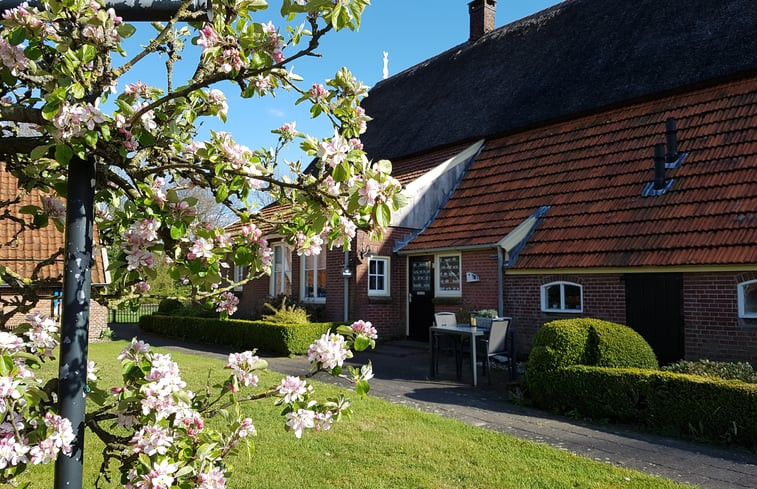 Natuurhuisje in Diepenheim