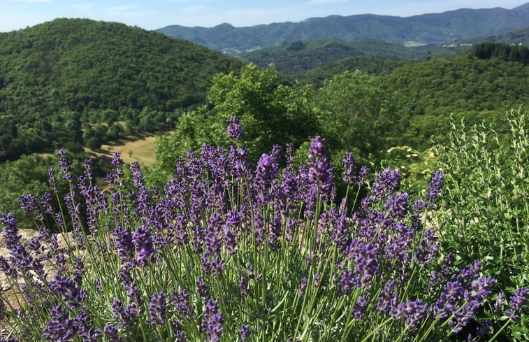 Natuurhuisje in Vals-les-Bains