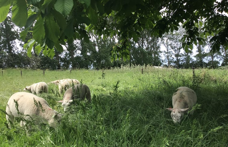 Natuurhuisje in Zierikzee