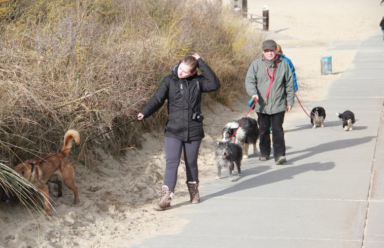 Natuurhuisje in Nieuw-Haamstede