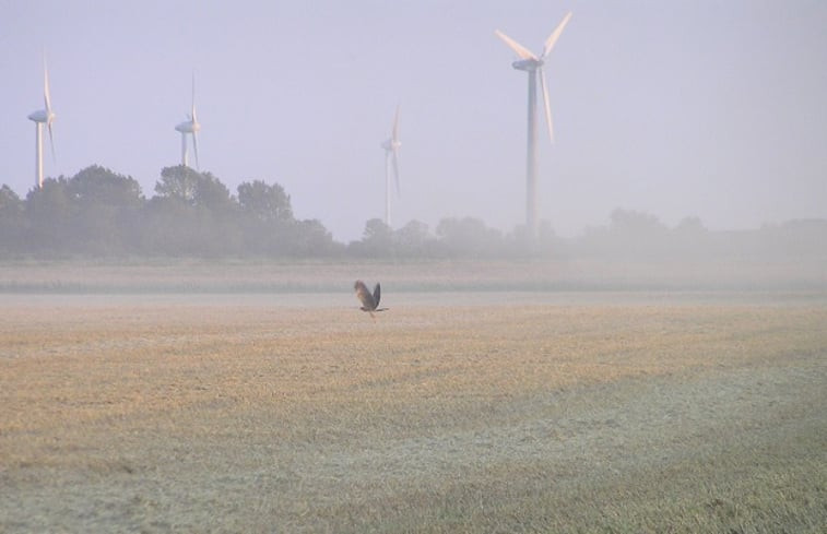 Natuurhuisje in Krummhörn