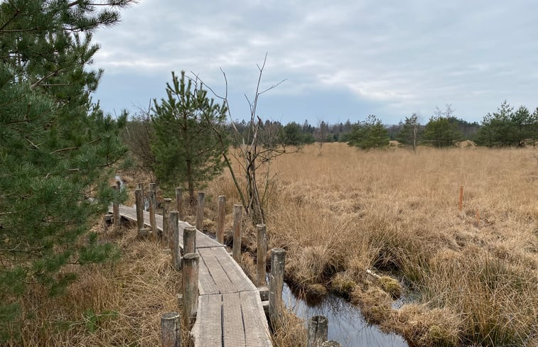 Natuurhuisje in Dwingeloo