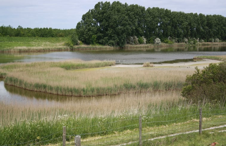 Natuurhuisje in Scherpenisse